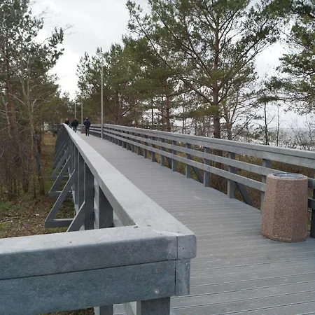 Flamingo * 米兹多洛杰