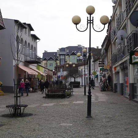 Flamingo * 米兹多洛杰