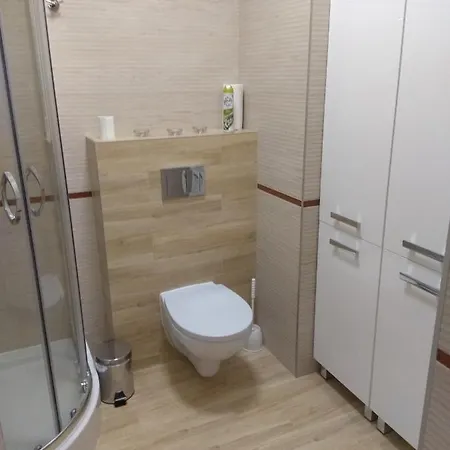 Flamingo * 米兹多洛杰