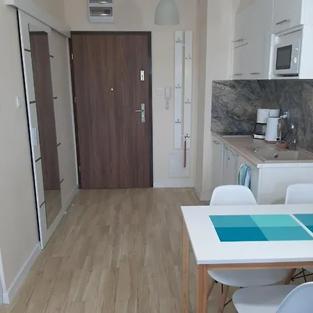 Flamingo * 米兹多洛杰