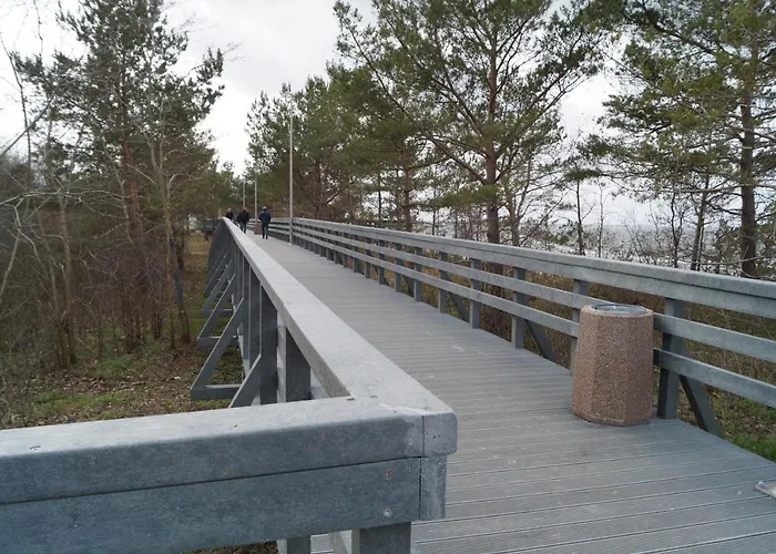 Flamingo * מידזיזדרויה