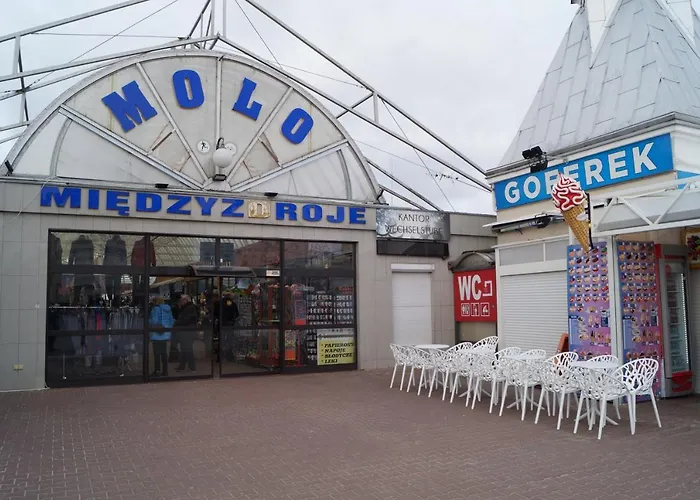 Flamingo דירה מידזיזדרויה